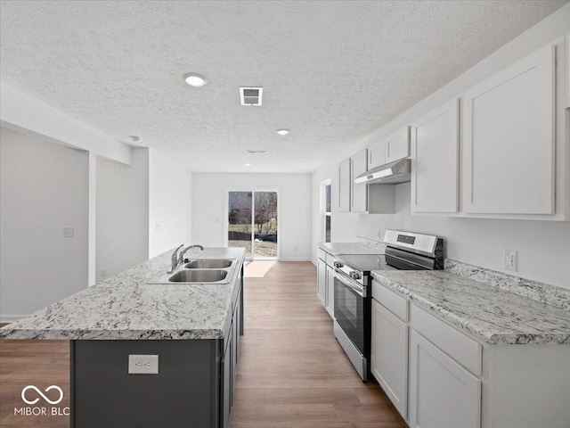 kitchen featuring visible vents, a sink, under cabinet range hood, stainless steel electric stove, and wood finished floors