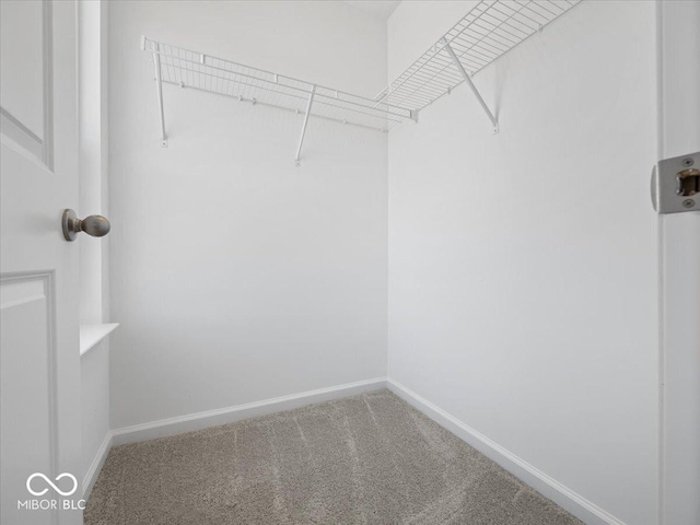 spacious closet with carpet floors