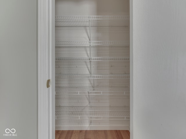 view of closet