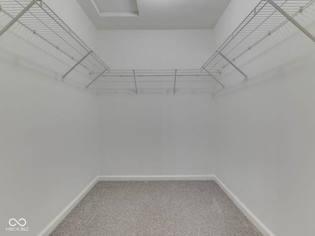 spacious closet with carpet