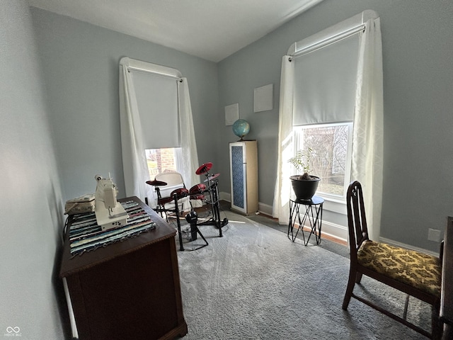 carpeted office space featuring baseboards and plenty of natural light