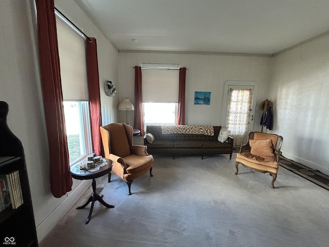 living area featuring carpet flooring and crown molding