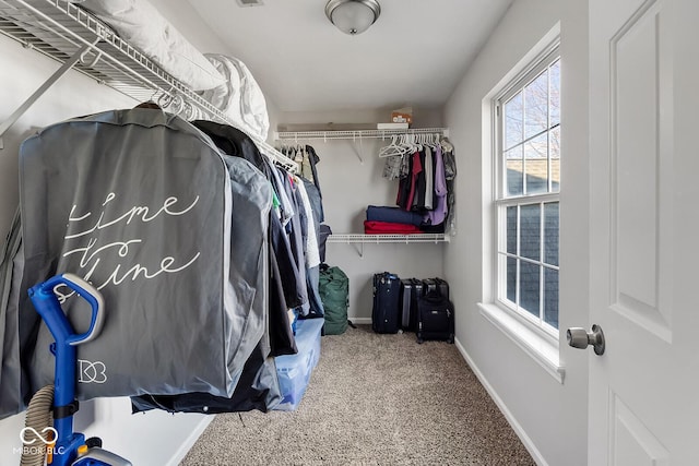 walk in closet featuring carpet