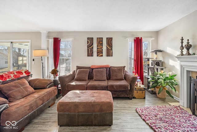 living area featuring wood finished floors, a fireplace, and a wealth of natural light