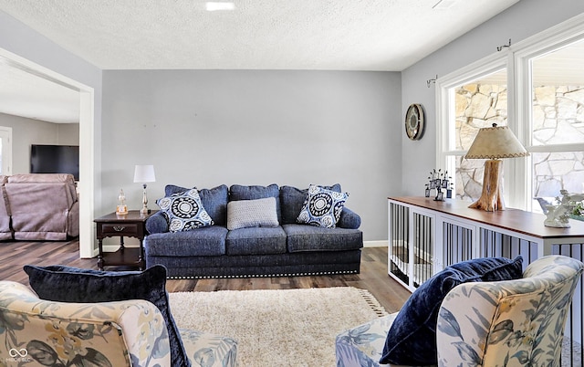 living room featuring a textured ceiling, baseboards, and wood finished floors