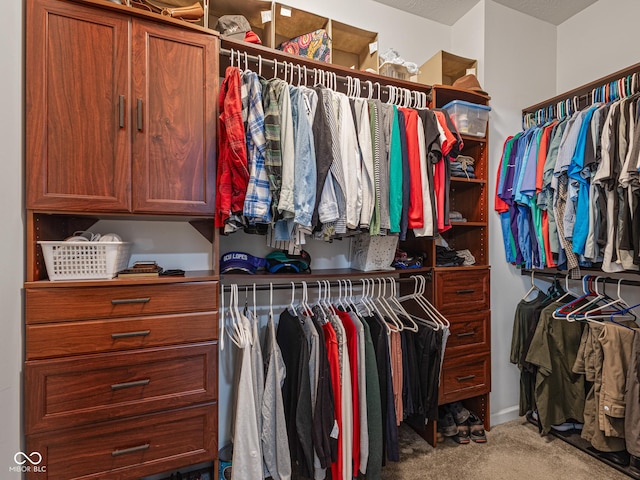 walk in closet featuring carpet flooring