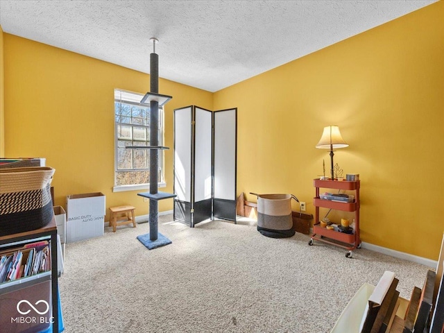 interior space featuring baseboards, carpet floors, and a textured ceiling