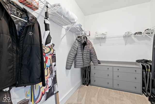 spacious closet featuring carpet floors