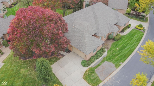 bird's eye view