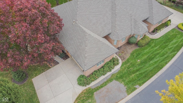aerial view