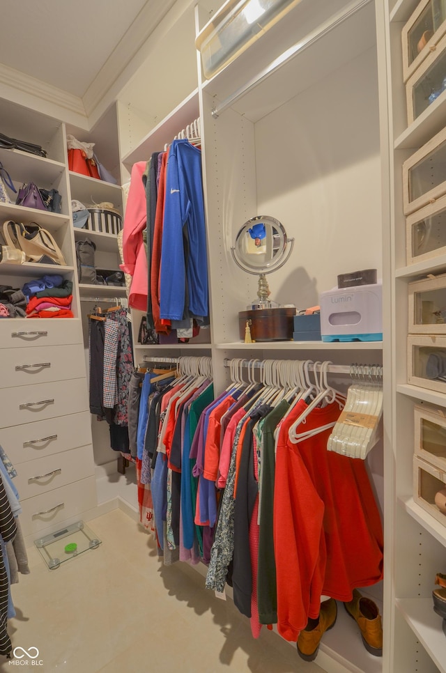 view of spacious closet
