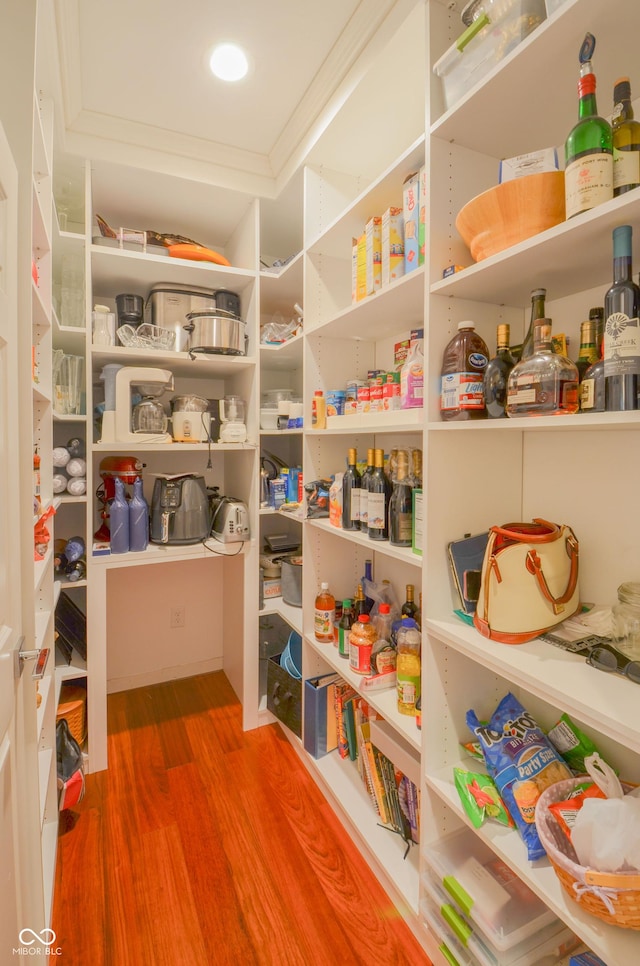 view of pantry
