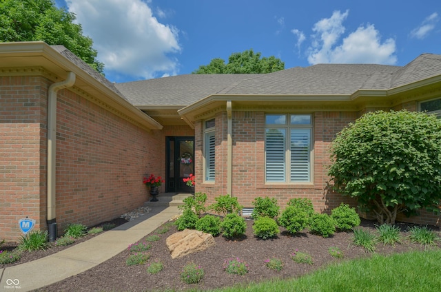 view of exterior entry with brick siding and a shingled roof