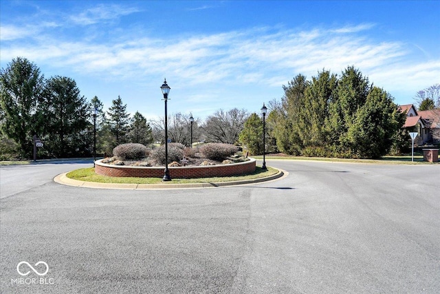 view of road featuring curbs and street lighting