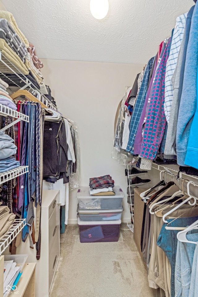 walk in closet featuring carpet floors