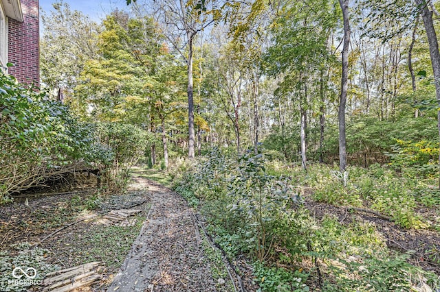 view of yard featuring a forest view