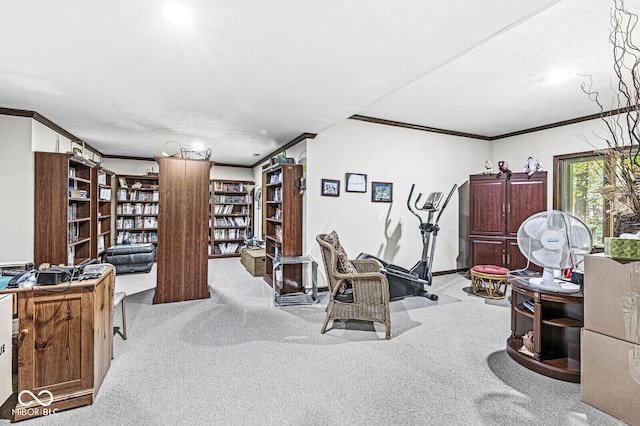 exercise area with crown molding, baseboards, and carpet floors