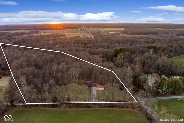 aerial view featuring a forest view and a rural view