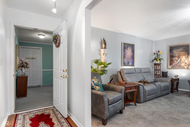 carpeted living room featuring baseboards and a textured ceiling