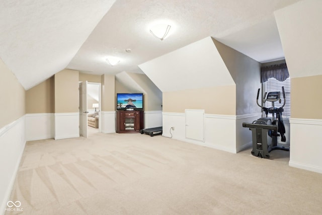 additional living space featuring a wainscoted wall, a textured ceiling, lofted ceiling, and carpet floors