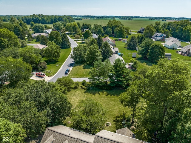 bird's eye view