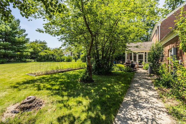 view of yard featuring a patio area