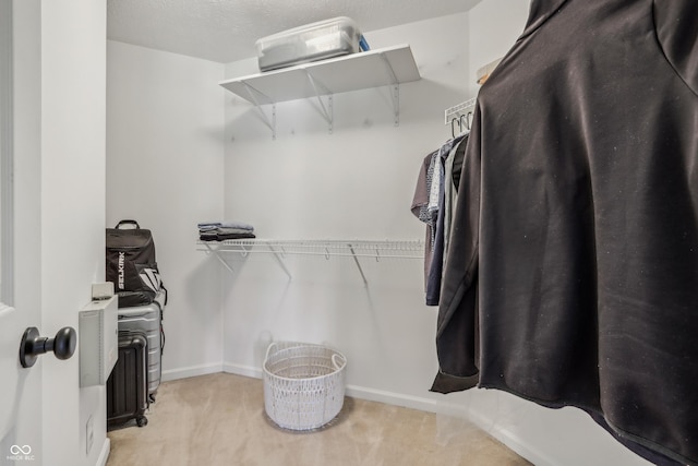 spacious closet with light colored carpet