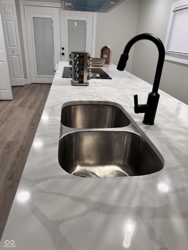 details with a sink, wood finished floors, and light countertops