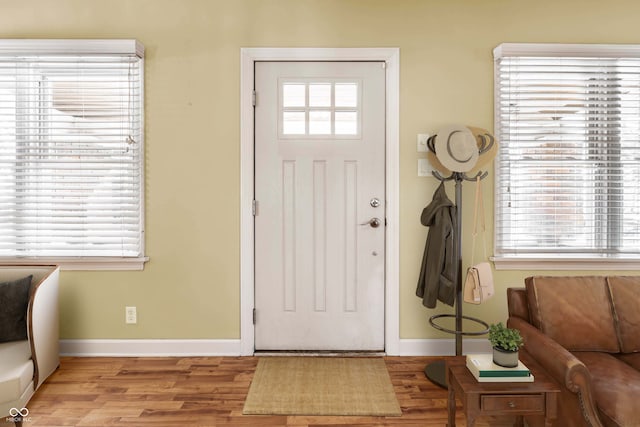 entrance foyer featuring wood finished floors and a wealth of natural light