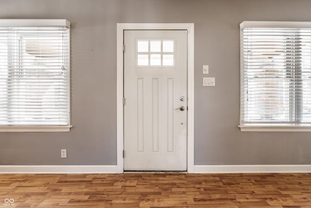 entryway featuring wood finished floors, a healthy amount of sunlight, and baseboards