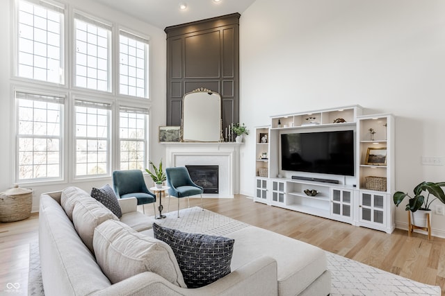 living room featuring a large fireplace, a high ceiling, and wood finished floors