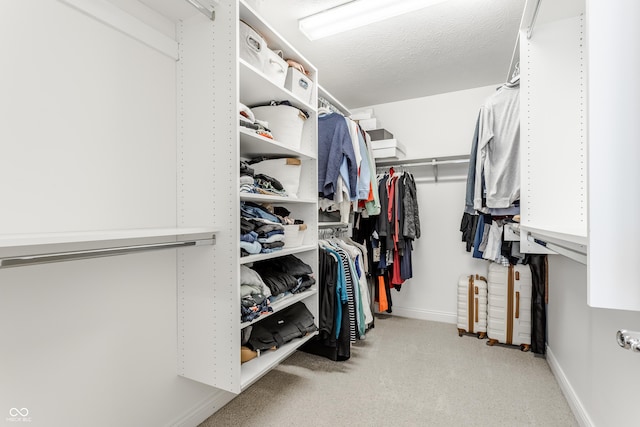 spacious closet featuring carpet floors