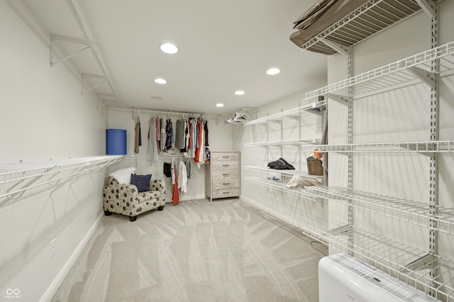 spacious closet featuring carpet