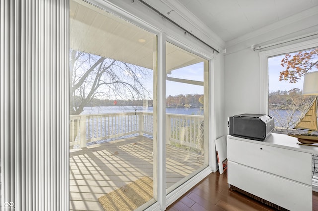 entryway featuring crown molding, dark wood-style floors, and a water view