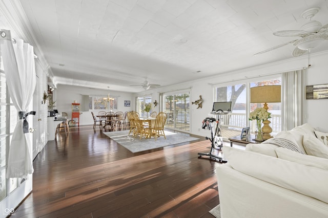 living area featuring a ceiling fan and wood-type flooring