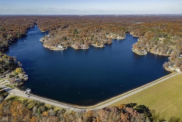 bird's eye view with a wooded view and a water view