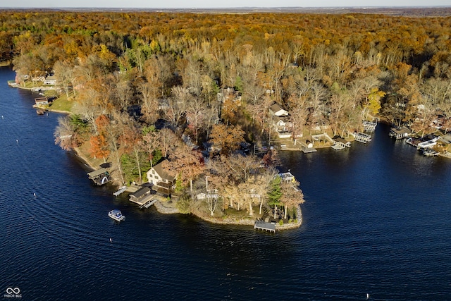 drone / aerial view featuring a view of trees and a water view