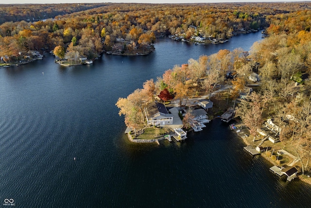 birds eye view of property featuring a view of trees and a water view