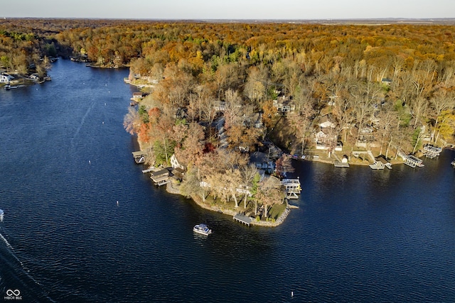 bird's eye view with a wooded view and a water view