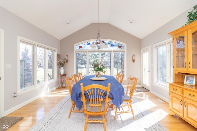 dining room featuring lofted ceiling, a healthy amount of sunlight, and light wood-style flooring