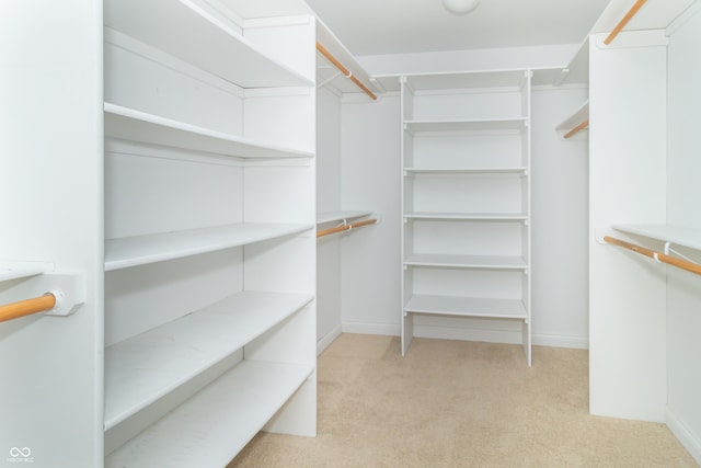 spacious closet with light colored carpet