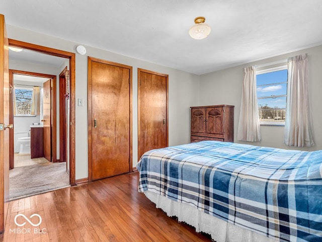 bedroom featuring wood-type flooring and two closets