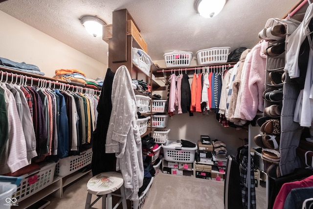 spacious closet featuring carpet flooring