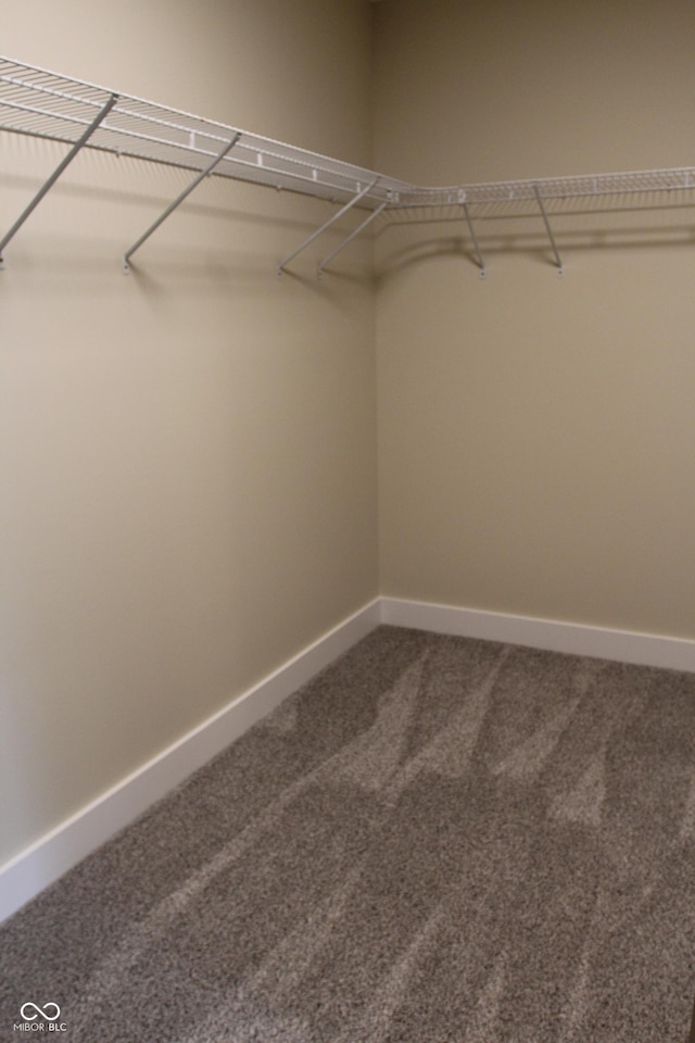 walk in closet with carpet