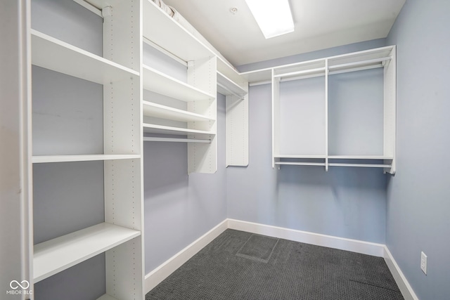 walk in closet featuring dark colored carpet