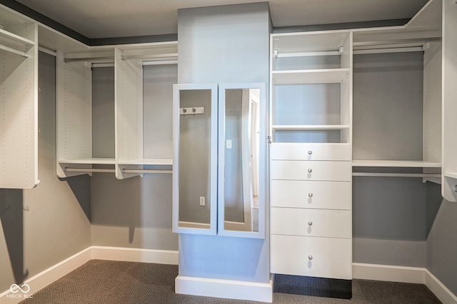 walk in closet featuring carpet flooring