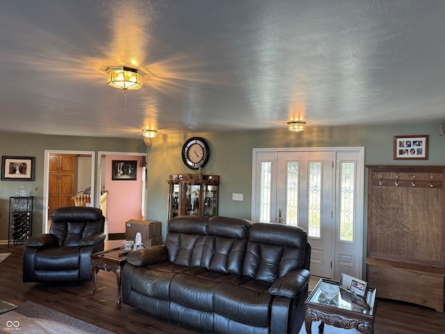 living room featuring dark wood finished floors