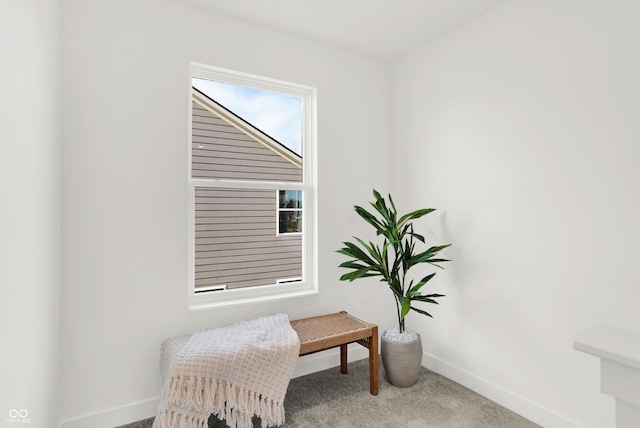 sitting room featuring baseboards and carpet floors