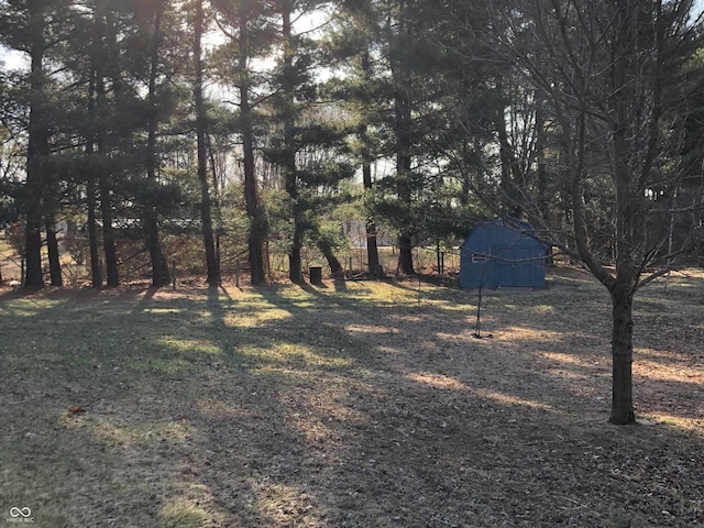 view of yard with a storage unit and an outdoor structure