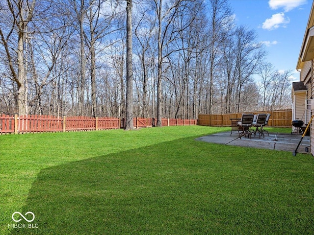 view of yard with a patio area and a fenced backyard